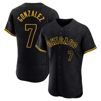 Men's Jacob Gonzalez Chicago Black Authentic Snake Skin City Baseball Jersey (Unsigned No Brands/Logos)