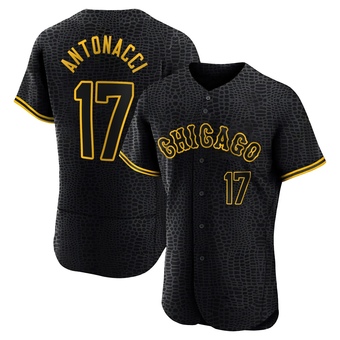 Men's Sam Antonacci Chicago Black Authentic Snake Skin City Baseball Jersey (Unsigned No Brands/Logos)