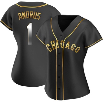 Women's Elvis Andrus Chicago Black Golden Replica Alternate Baseball Jersey (Unsigned No Brands/Logos)