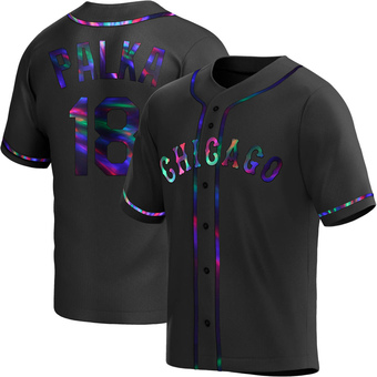 Youth Daniel Palka Chicago Black Holographic Replica Alternate Baseball Jersey (Unsigned No Brands/Logos)